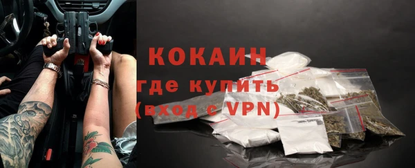 индика Алексеевка