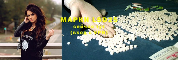 индика Алексеевка